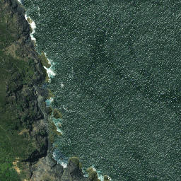 Satellite imagery of Motukukupa Point, NZ