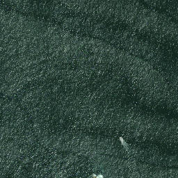 Satellite imagery of Motukukupa Point, NZ