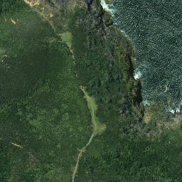 Satellite imagery of Motukukupa Point, NZ