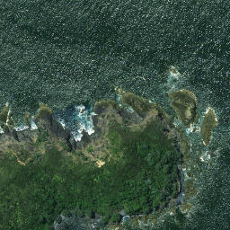 Satellite imagery of Motukukupa Point, NZ