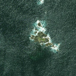 Satellite imagery of Motukukupa Point, NZ