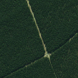 Satellite imagery of 665, NZ