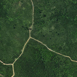 Satellite imagery of Tuanui Point, NZ