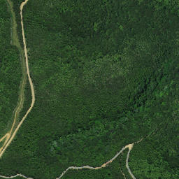 Satellite imagery of Tuanui Point, NZ