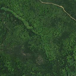 Satellite imagery of Tuanui Point, NZ