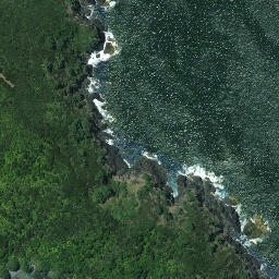 Satellite imagery of Tuanui Point, NZ