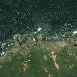 Satellite imagery of Otonga Point, NZ