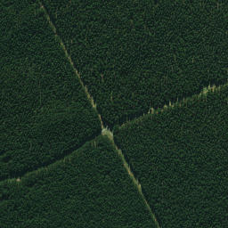 Satellite imagery of 665, NZ