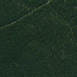 Satellite imagery of 665, NZ