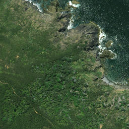 Satellite imagery of Tutonu Point, NZ