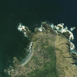 Satellite imagery of Tutonu Point, NZ