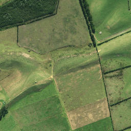 Satellite imagery of Wharemaru Pa, NZ