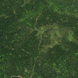 Satellite imagery of Tutonu Point, NZ