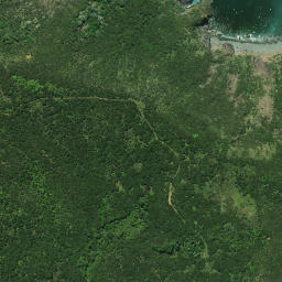 Satellite imagery of Tutonu Point, NZ