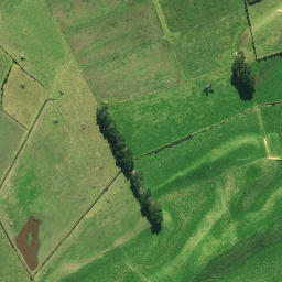 Satellite imagery of Wharemaru Pa, NZ