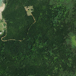 Satellite imagery of A PUKETUTU, NZ