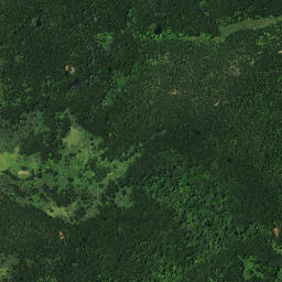 Satellite imagery of A PUKETUTU, NZ