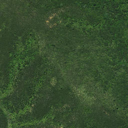 Satellite imagery of D TOKOMATA, NZ
