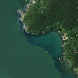 Satellite imagery of 781, NZ