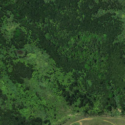 Satellite imagery of A PUKETUTU, NZ