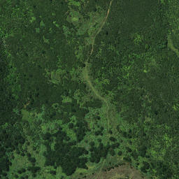 Satellite imagery of A PUKETUTU, NZ