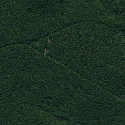 Satellite imagery of 691, NZ