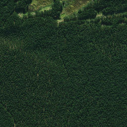 Satellite imagery of 691, NZ