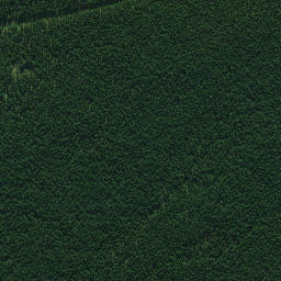 Satellite imagery of 691, NZ