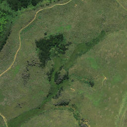 Satellite imagery of A PUKETUTU, NZ
