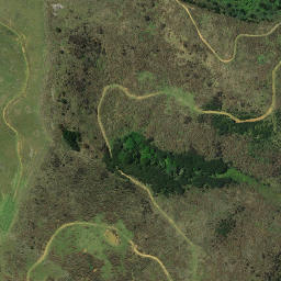 Satellite imagery of A PUKETUTU, NZ