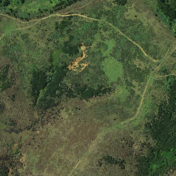 Satellite imagery of A PUKETUTU, NZ