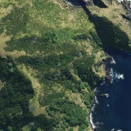 Satellite imagery of Matanohinohi Point, NZ