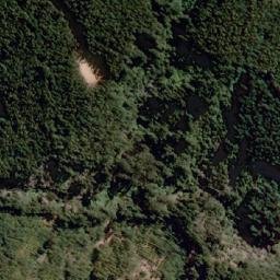 Satellite imagery of Punta Roncurra, CL