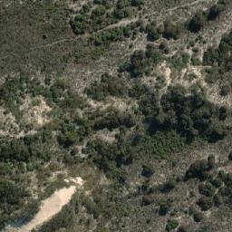 Satellite imagery of Shag Point, AU