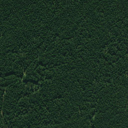 Satellite imagery of 691, NZ