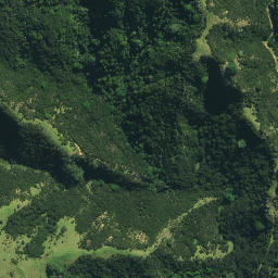 Satellite imagery of Matanohinohi Point, NZ