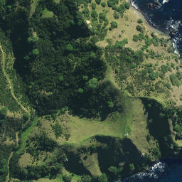 Satellite imagery of Matanohinohi Point, NZ