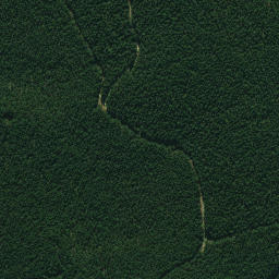 Satellite imagery of 691, NZ