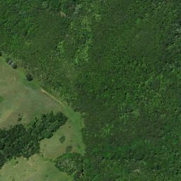 Satellite imagery of B PAIKAURI, NZ
