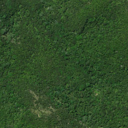 Satellite imagery of B PAIKAURI, NZ
