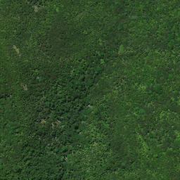 Satellite imagery of B PAIKAURI, NZ