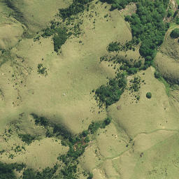 Satellite imagery of 791, NZ