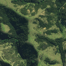 Satellite imagery of Pa Point, NZ