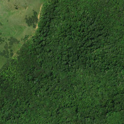 Satellite imagery of B PAIKAURI, NZ