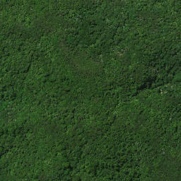 Satellite imagery of B PAIKAURI, NZ