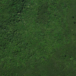 Satellite imagery of B PAIKAURI, NZ