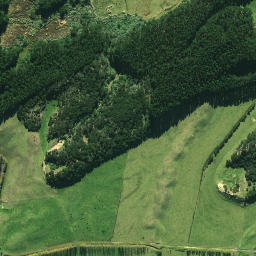 Satellite imagery of 1878, NZ