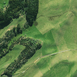 Satellite imagery of 1878, NZ