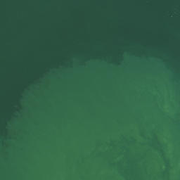 Satellite imagery of Rangikapiti Head, NZ