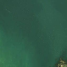 Satellite imagery of Rangikapiti Head, NZ